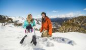 朋友們在新南威爾斯州大雪山（Snowy Mountains）的斯瑞德伯（Thredbo）堆雪人