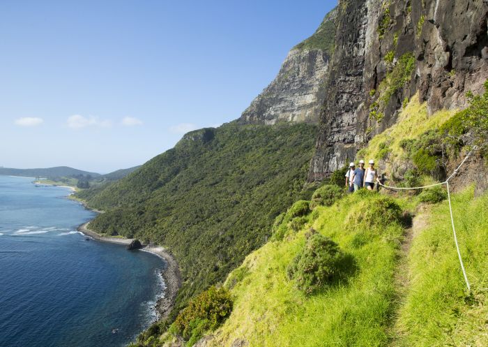 豪勳爵島（Lord Howe Island）高爾山（Mount Gower）