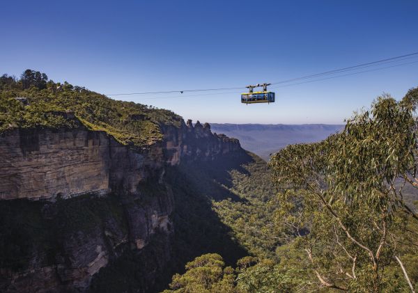 藍山藍山美景世界（Scenic World)的空中走廊，俯瞰傑米森山谷