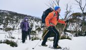 團隊穿越大雪山（Snowy Mountains）斯瑞德伯（Thredbo）的死馬峽，進行雪鞋探險