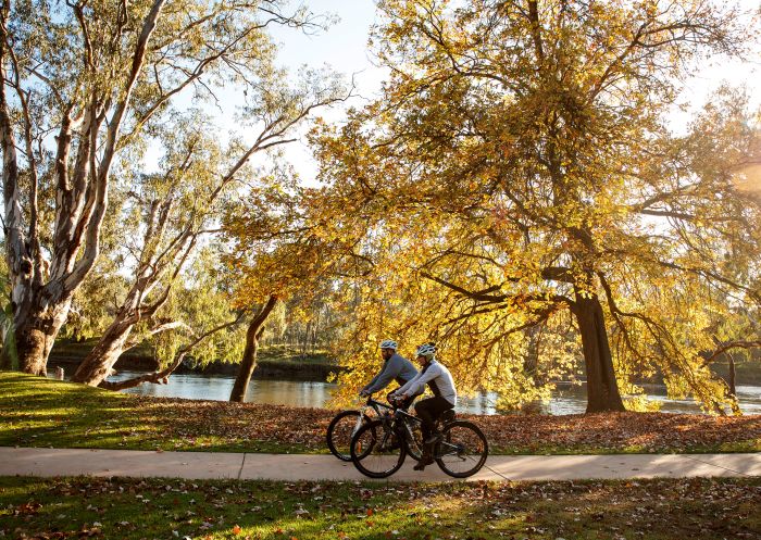 騎自行車的人在奧爾伯里諾勒阿爾伯里 (Albury）公園的濱海小路上騎行
