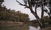 巴旺河 (Barwon River) 是新南威爾士州內陸 ) 傳統原住民魚塘的所在地，也被稱為 Baiame's Ngunnhu