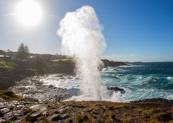 凱阿瑪噴水洞(Kiama Blowhole),凱阿瑪(Kiama) 凱阿瑪噴水洞(Kiama Blowhole)噴出的水柱,凱阿瑪(Kiama)