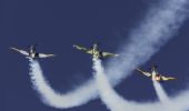 飛機在伊拉瓦拉地區機場舉行的 2018 年伊拉瓦拉飛越活動上為觀眾進行特技飛行表演。