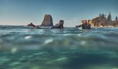 父子倆在南岸（South Coast）納魯馬（Narooma）的玻璃屋岩享受早晨衝浪