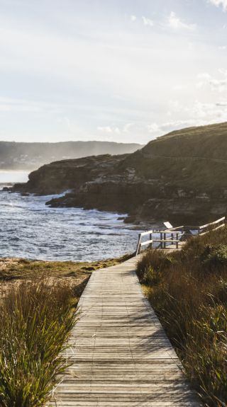 中央海岸Bouddi 的波第國家公園 (Bouddi National Park）- 圖片；David Ross -中央海岸旅遊
