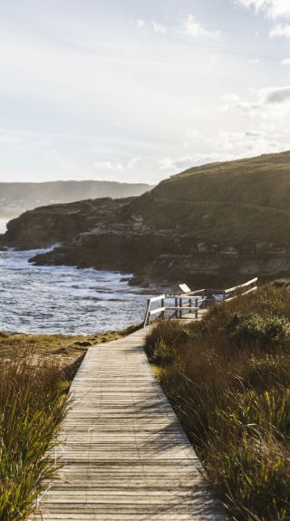 中央海岸Bouddi 的波第國家公園 (Bouddi National Park）- img; David Ross -中央海岸旅遊
