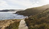 中央海岸波第國家公園 (Bouddi National Park）的優美海岸風景
