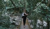一位女士在南岸（South Coast）布德羅國家公園 (Budderoo National Park）的明娜姆拉雨林（Minnamurra Rainforest）中心附近散步，欣賞美景