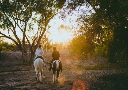 閃電山脊（Lightning Ridge）格雷斯霍勒騎馬之旅 -新南威爾士州內陸