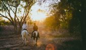 閃電山脊（Lightning Ridge）格雷斯霍勒騎馬之旅 -新南威爾士州內陸