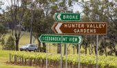 汽車經過獵人谷（Hunter Valley）的當地葡萄園
