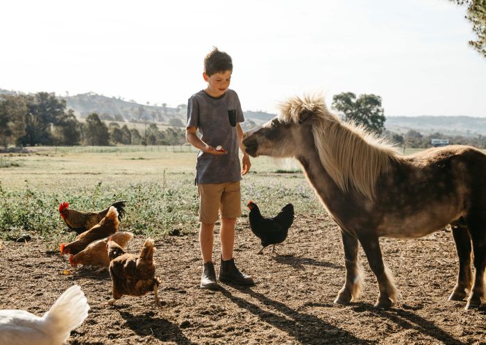 Hillview Farmstay, Mount Adrah Young boy feeding the farm animals at Hillview Farmstay, Mount Adrah