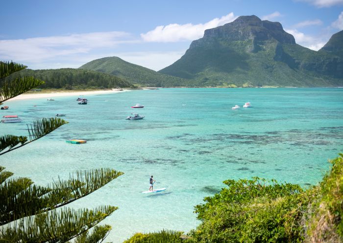 豪勳爵島（Lord Howe Island）潟湖海灘的男子站立劃槳衝浪