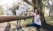 一名女子在北岸拜倫灣 (Byron Bay）的 Zephyr Horses 遇到一匹馬