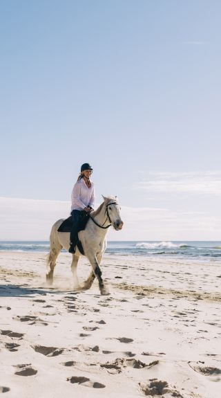 拜倫灣 (Byron Bay）Zephyr Horses