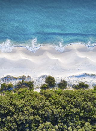 杰維斯海灣（Jervis Bay）南岸（South Coast）的海姆斯海灘（Hyams Beach）。圖片來源：喬丹羅賓斯
