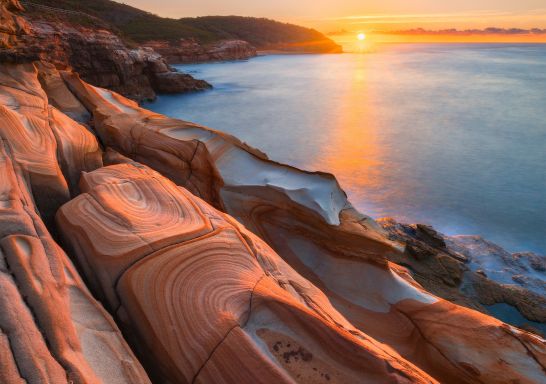 中央海岸的波第國家公園 (Bouddi National Park）