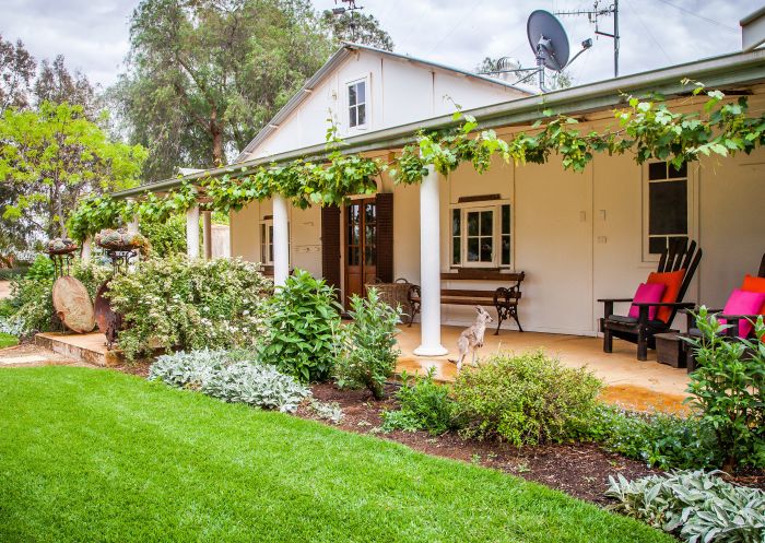 Corynnia Station, Carrathool View of the gardens with a joey on the verandah at Corynnia Station, Carrathool