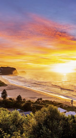 中央海岸阿沃卡海灘 (Avoca Beach）