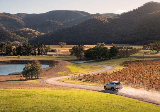汽車抵達位於馬奇（Mudgee)附近的 Apple Tree Flat 的 Logan Wines