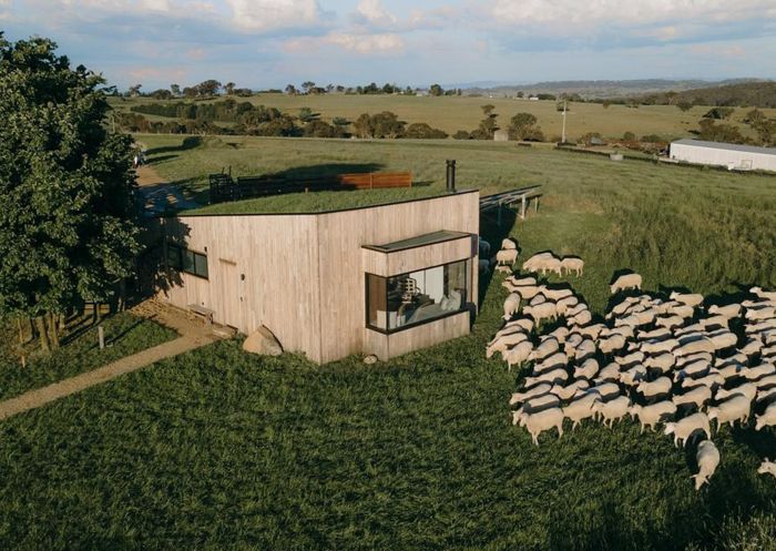 Wilga Station, Bathurst Flock of sheep surrounding Farmers Hut at Wilga Station, Bathurst
