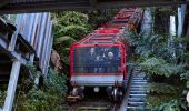 家庭享受鑽石之旅、藍山美景世界（Scenic World)、卡頓巴（Katoomba）