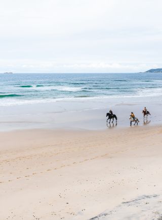 在 Zephyr Horses 之旅中，從空中拍攝了馬匹在海灘奔跑的場景，背景是拜倫角