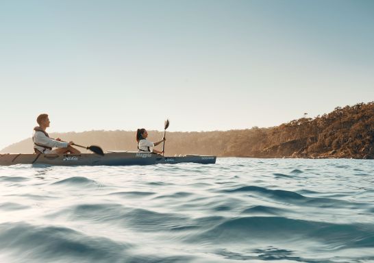 一對夫婦跟隨 Navigate Expeditions 的皮划艇探索南岸（South Coast），Pambula