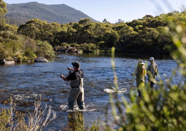 斯瑞德伯（Thredbo）河飛釣魚，大雪山（Snowy Mountains）