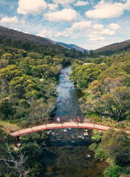 享受騎行，斯瑞德伯（Thredbo）谷，大雪山（Snowy Mountains）