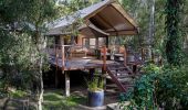 杰維斯海灣（Jervis Bay）Paperbark Camp 樹林中的豪華狩獵帳篷