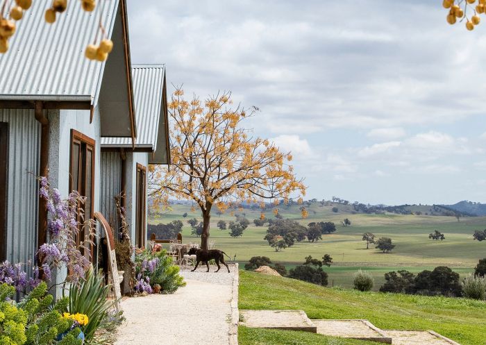 馬奇(Mudgee)的Zin House 馬奇(Mudgee)的Zin House 入口