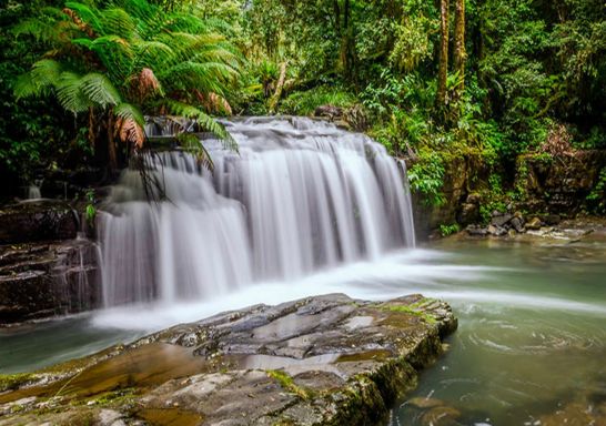 澳洲新南威爾斯州巴寧頓頂 (Barrington Tops）國家公園岩石十字路口附近美麗的瀑布