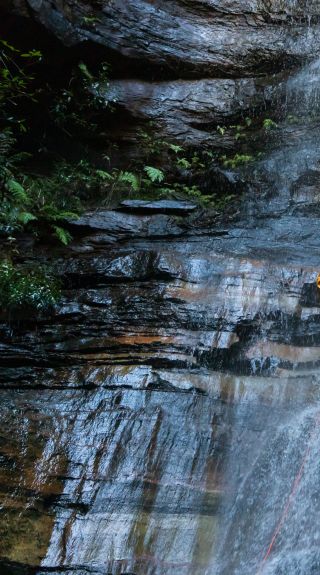 跟隨藍山冒險公司 (Blue Mountains Adventure Company)沿著皇后瀑布速降。圖片來源：戴爾馬丁