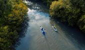 沿著特威德河（Rous River）劃獨木舟