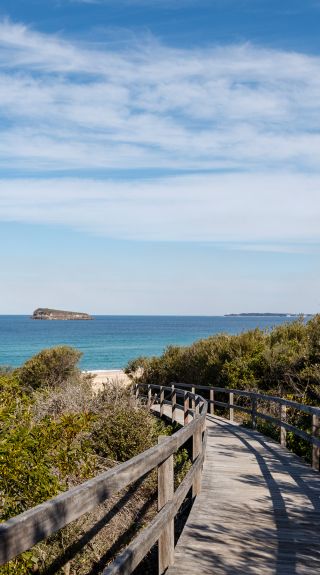 茶樹瞭望台，威邦 - 圖片來源：中央海岸旅遊局