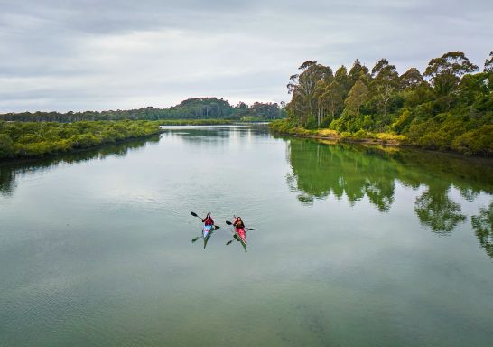 導航探險 - Bermagui 皮划艇之旅