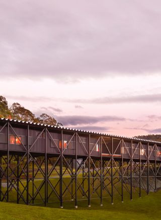 Bundanon 的創意學習橋 - 圖片來源：Zan Wimberley | Bundanon